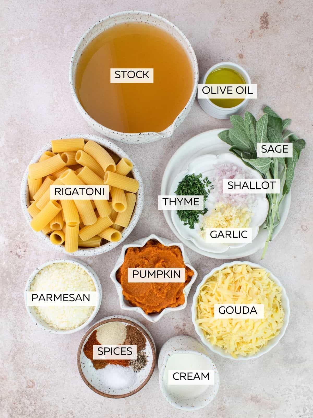 One pot cheesy pumpkin rigatoni ingredients