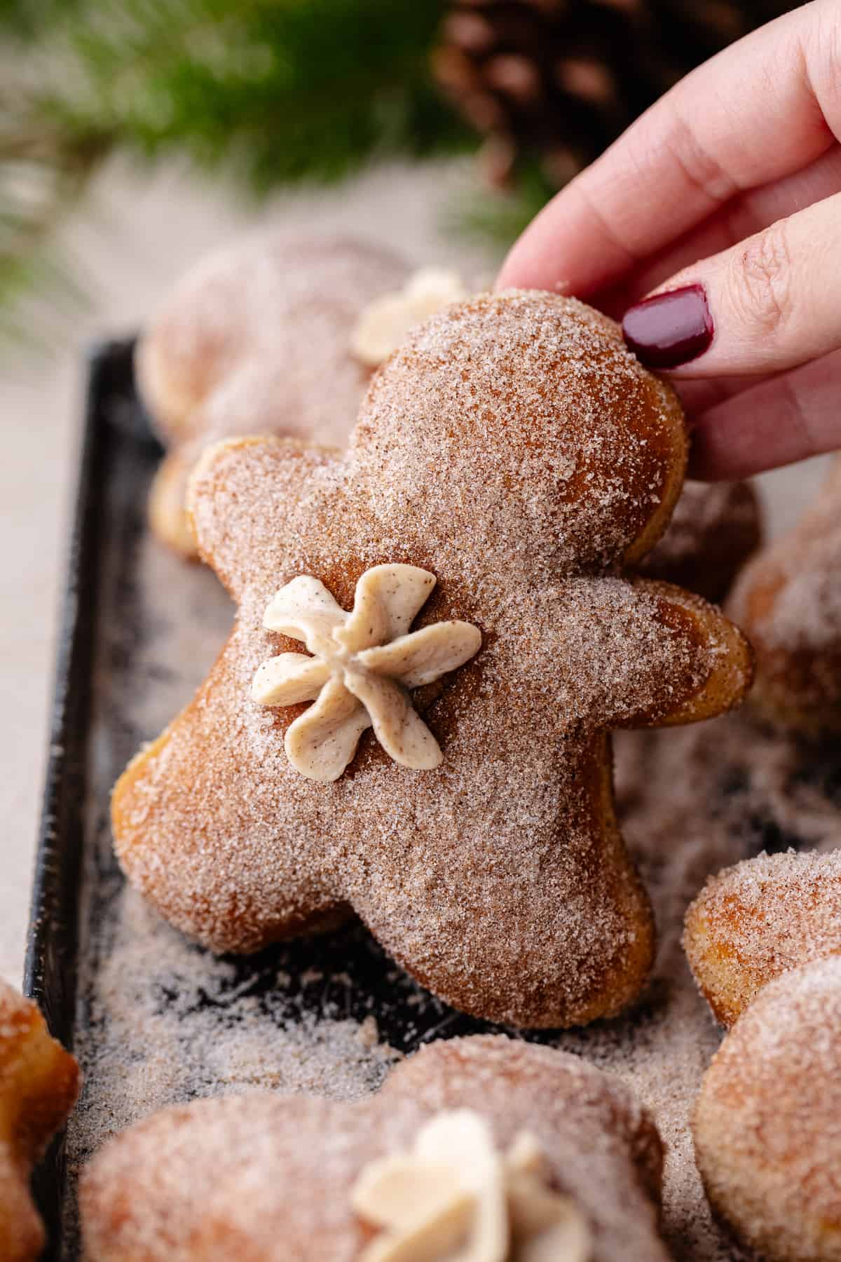 Gingerbread Cheesecake Donuts on a tray with cinnamon sugar