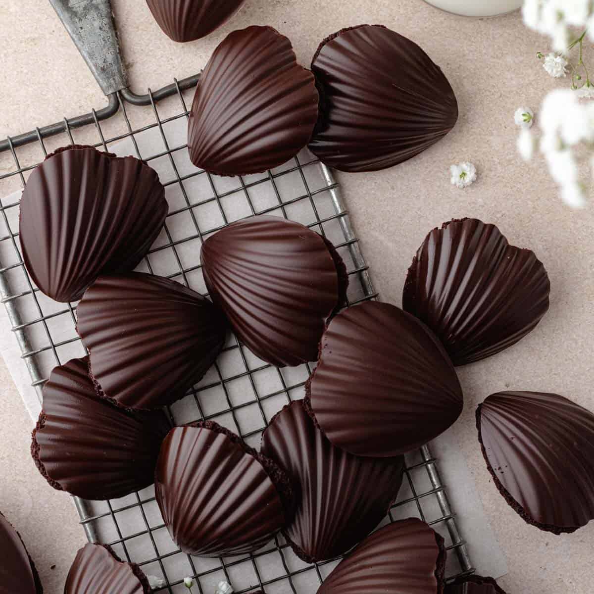 Chocolate Madeleines | Short Stack Kitchen