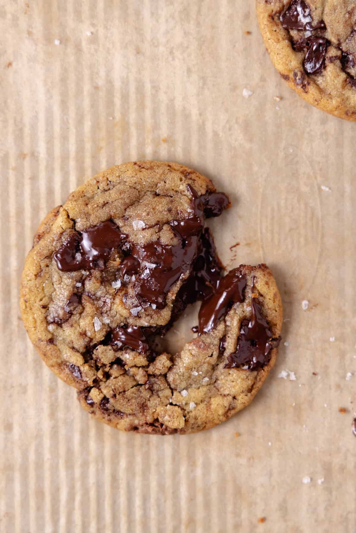 Close up of a warm brown butter chocolate chip cookie.