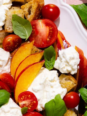 Peach panzanella salad feature photo.