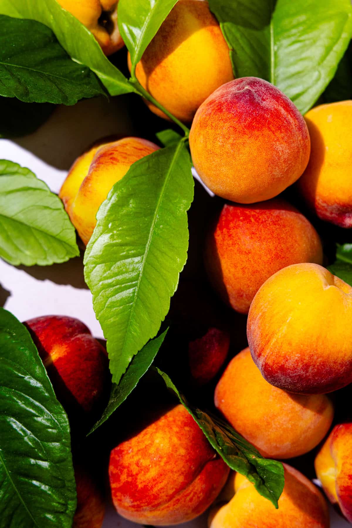 A pile of peaches with leaves.