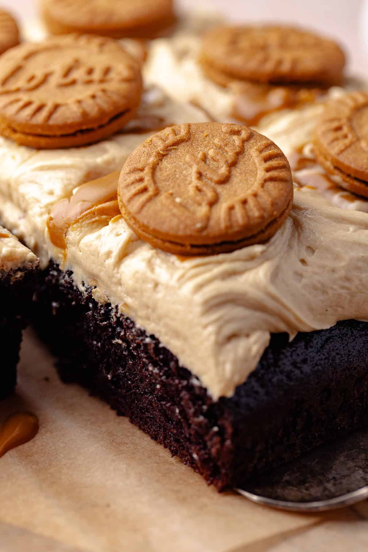 Biscoff chocolate cake slices on a wire rack.