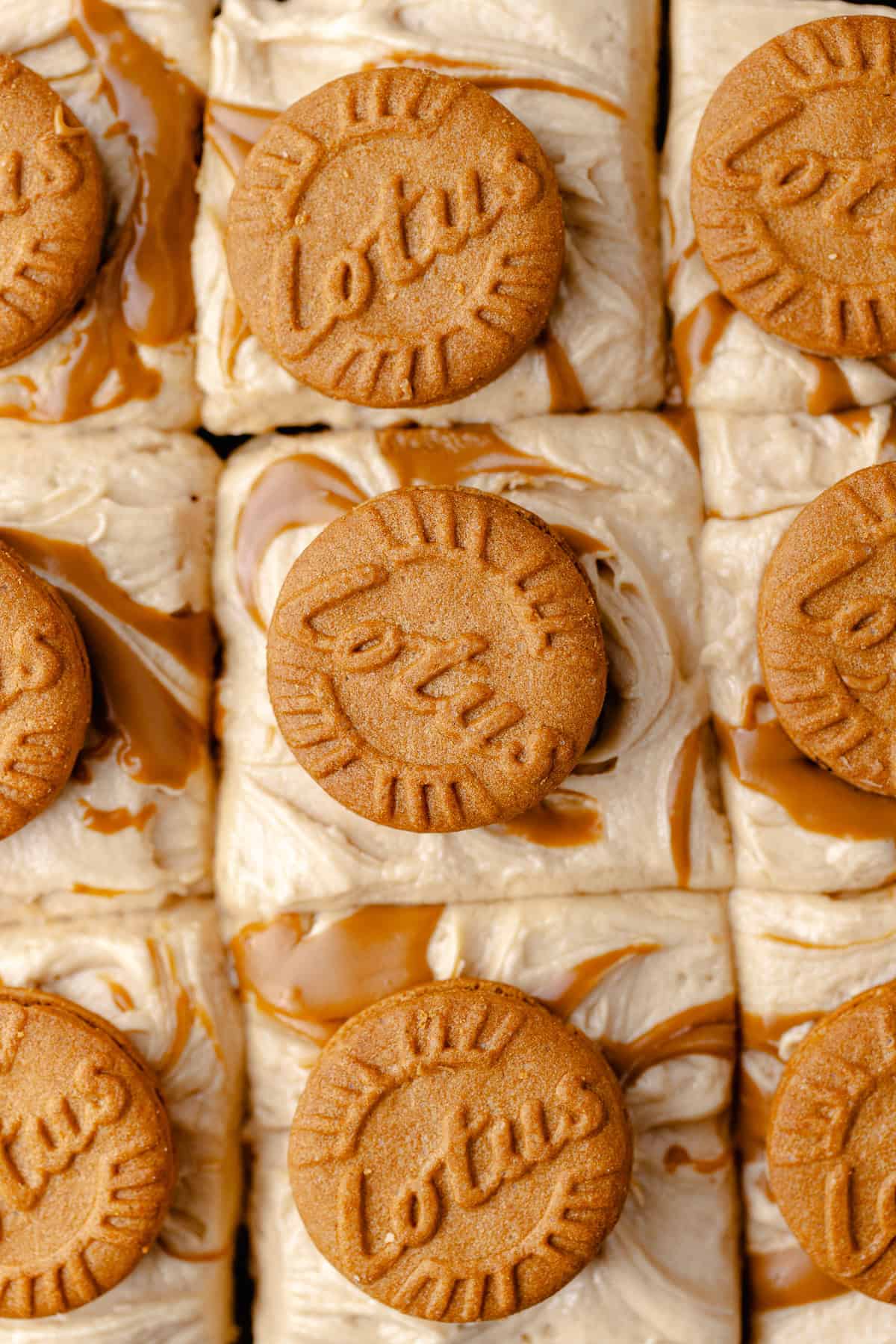 Close up Biscoff chocolate cake slices on a wire rack.