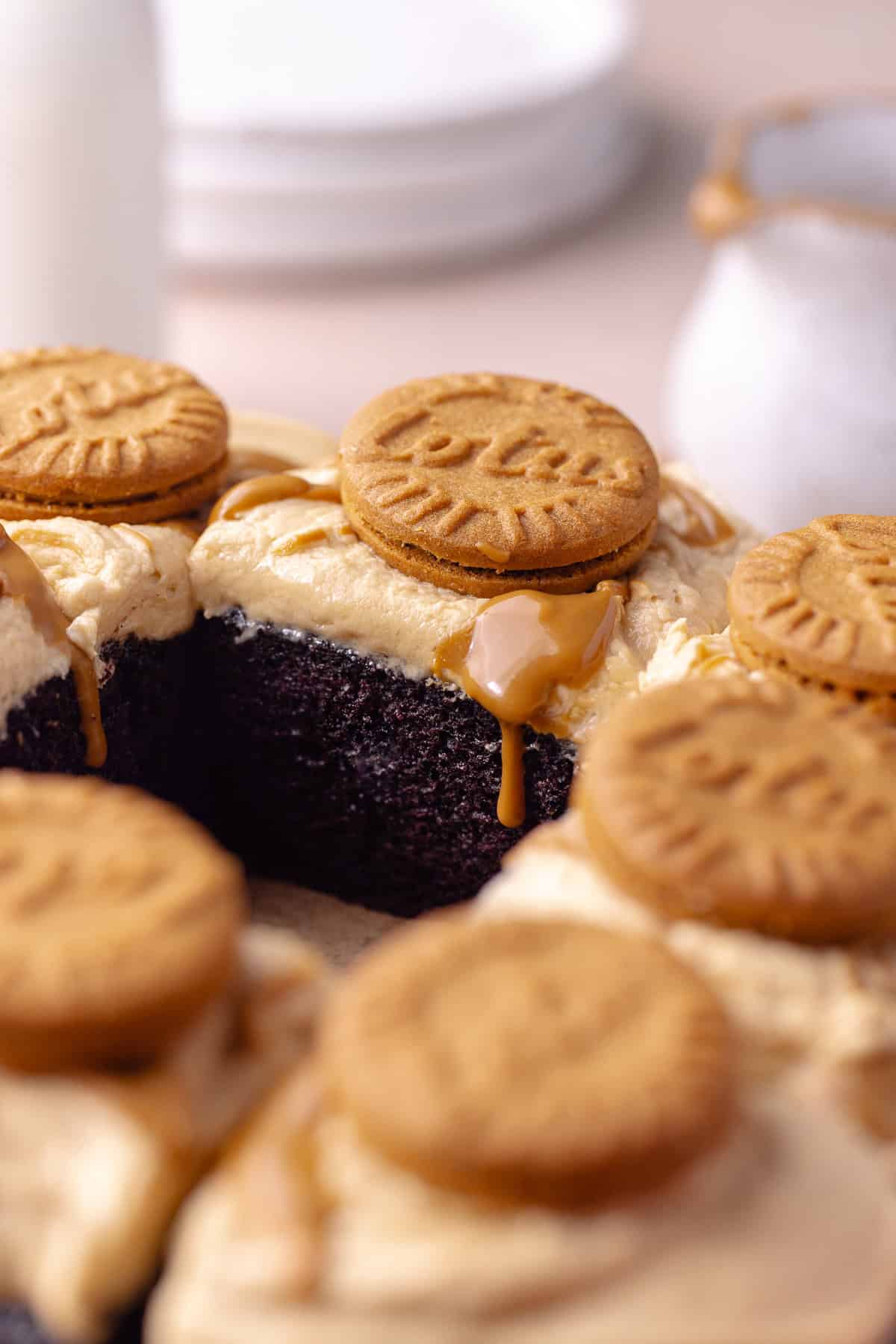 Biscoff chocolate cake slices on a rack.