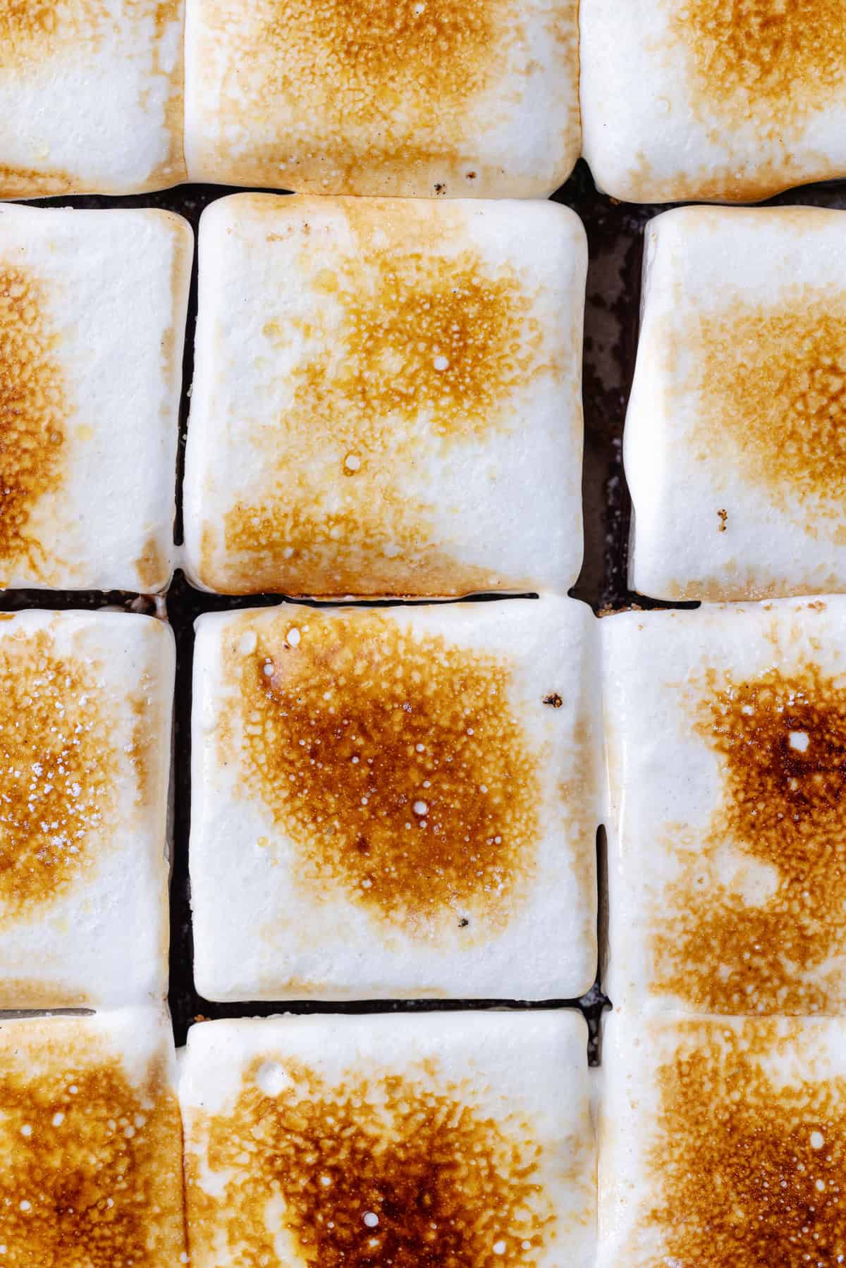 Biscoff S'mores Bars are torched.