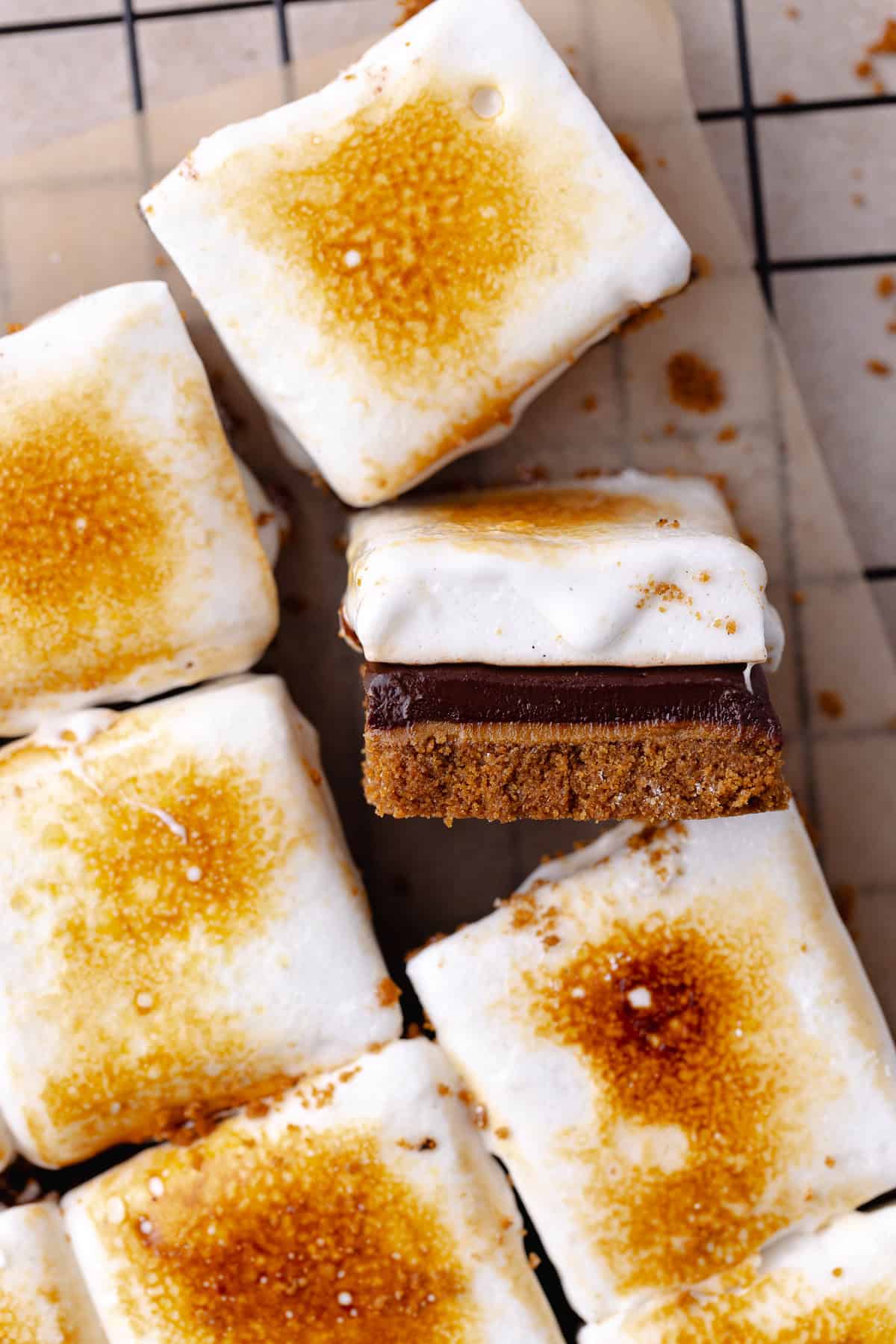 Biscoff S'mores Bars squares.