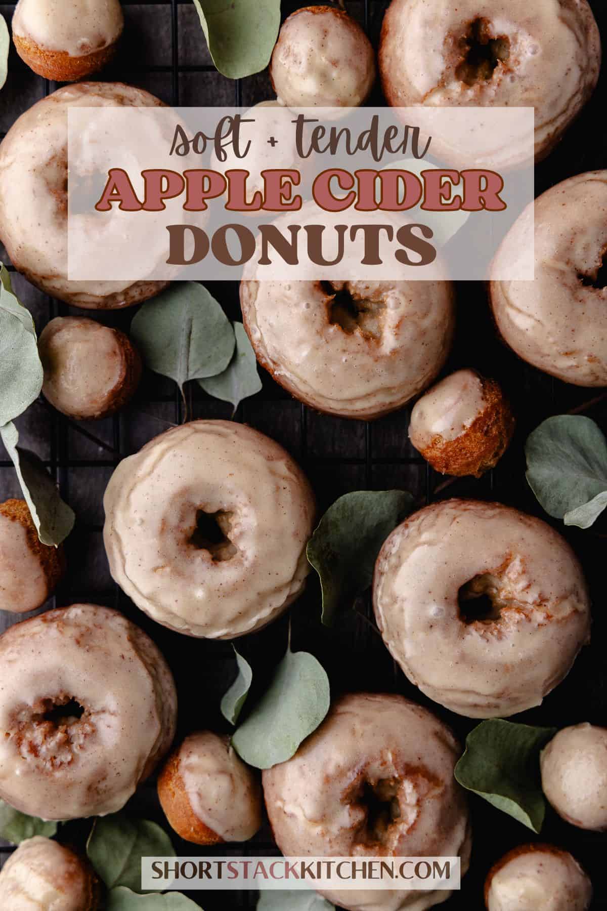 Small batch fried Apple cider donuts poster for pinterest.