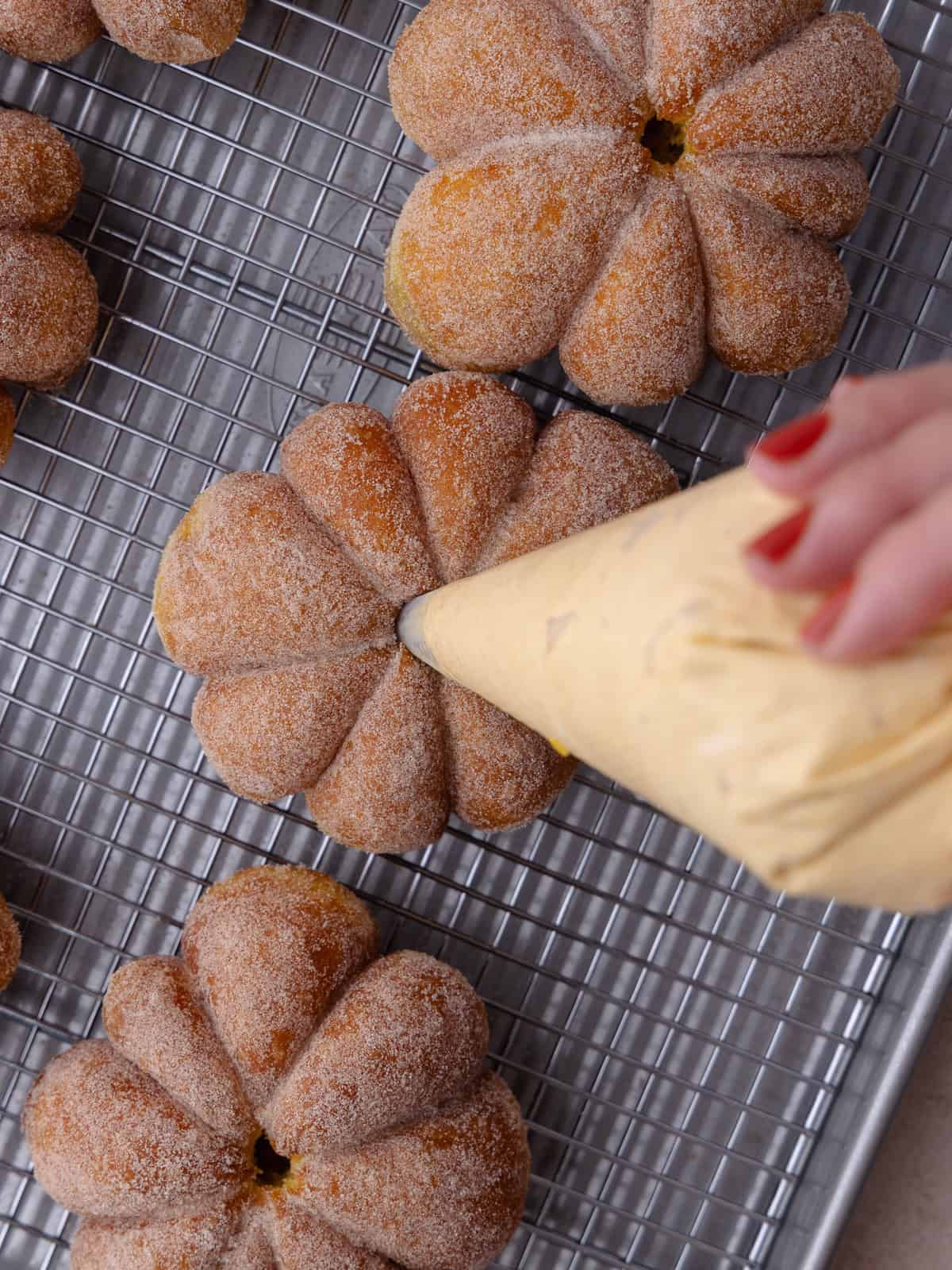 Pumpkin cheesecake filling is piped into the top center of the cinnamon sugar coated pumpkin donuts.