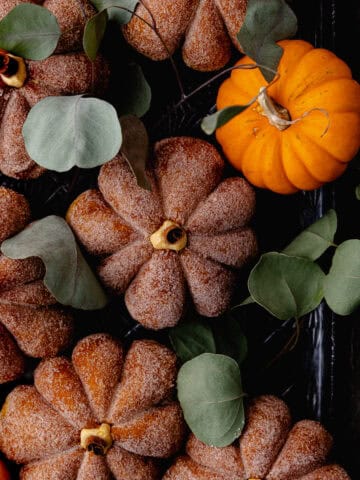 Small Batch Pumpkin Cheesecake Donuts Featured Photo.