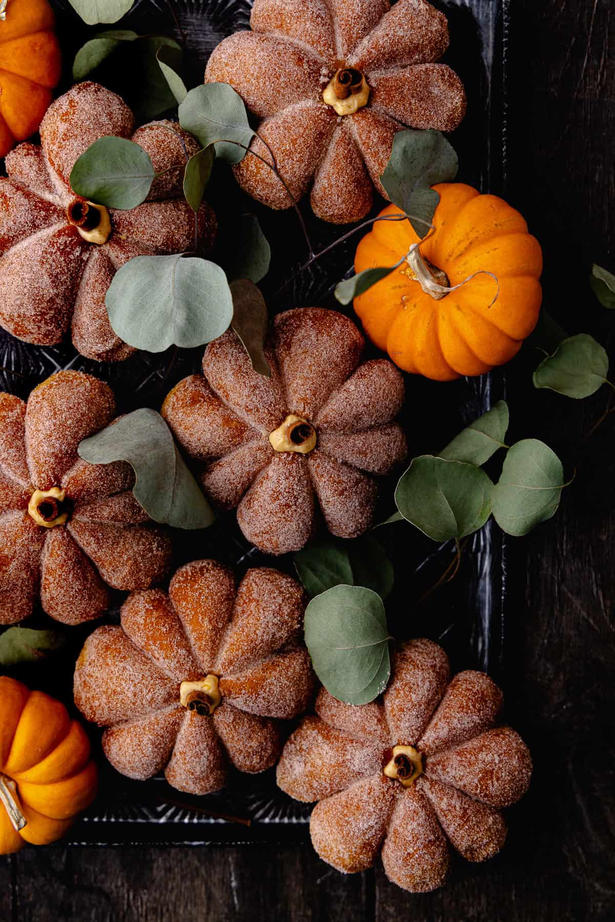 A small batch of coated and filled, pumpkin shaped donuts on a baking tray surrounded by leaves and fresh orange pumpkins.