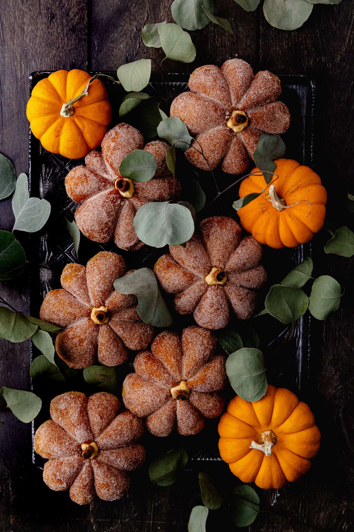 A small batch of coated and filled, pumpkin shaped donuts on a baking tray surrounded by leaves and fresh orange pumpkins.