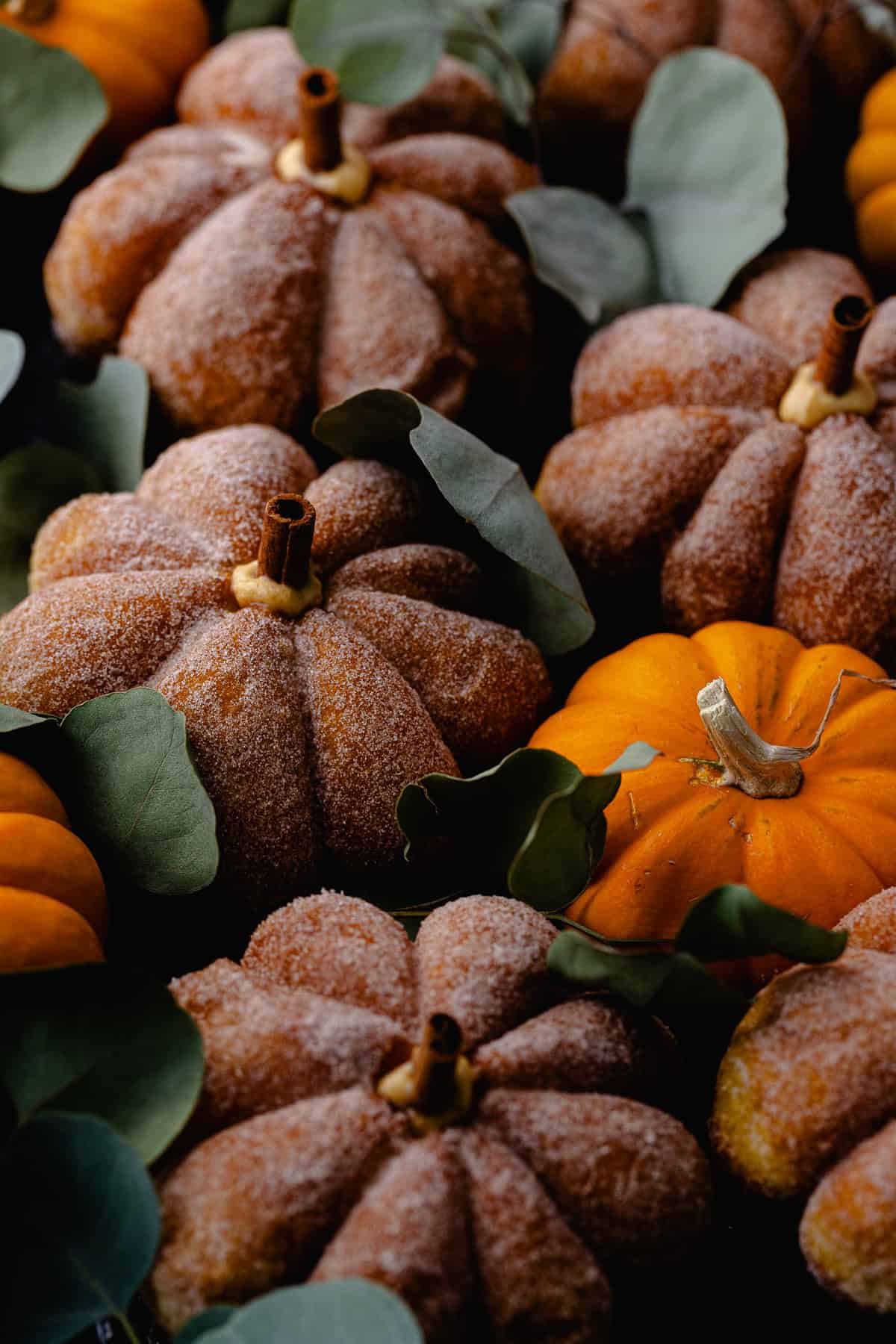 A small batch of coated and filled, pumpkin shaped donuts on a baking tray surrounded by leaves and fresh orange pumpkins.