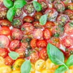 Tomato Tart with Basil Sauce Feature photo