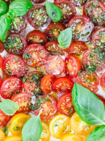 Tomato Tart with Basil Sauce Feature photo