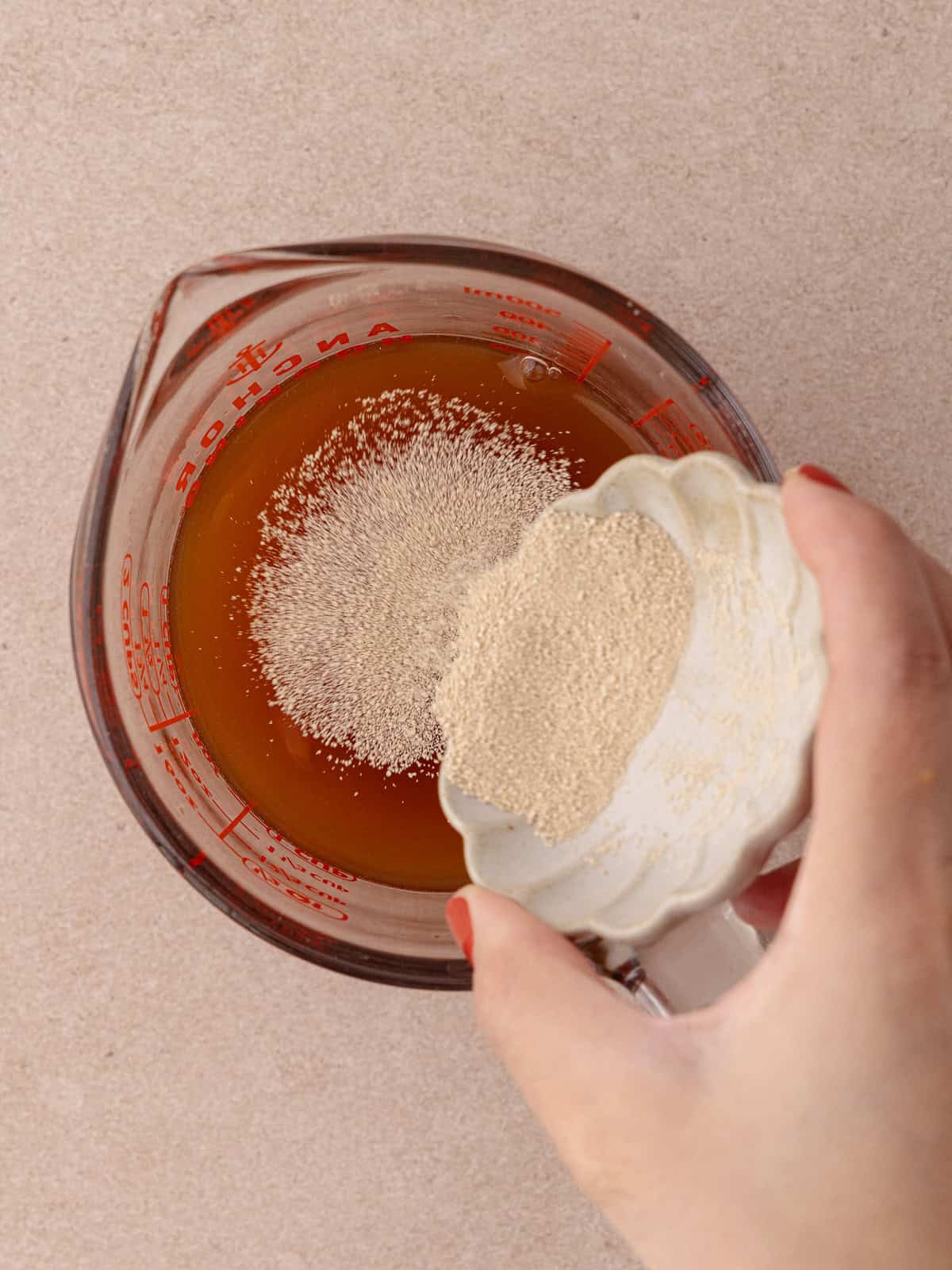 Dry active yeast is sprinkled into a measure cup with warm water with barley malt syrup.