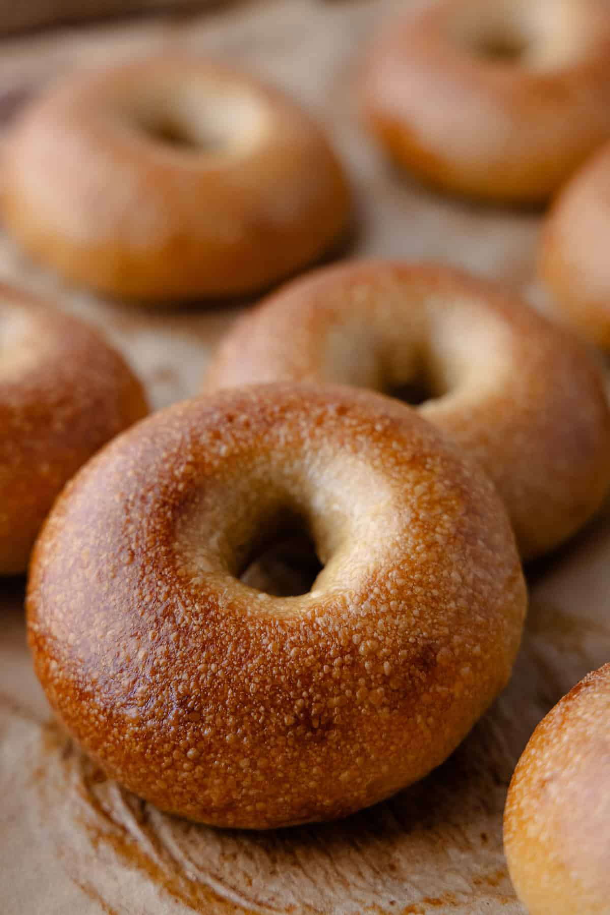 Overnight plain bagel with blistered crust sitting on a baking sheet.