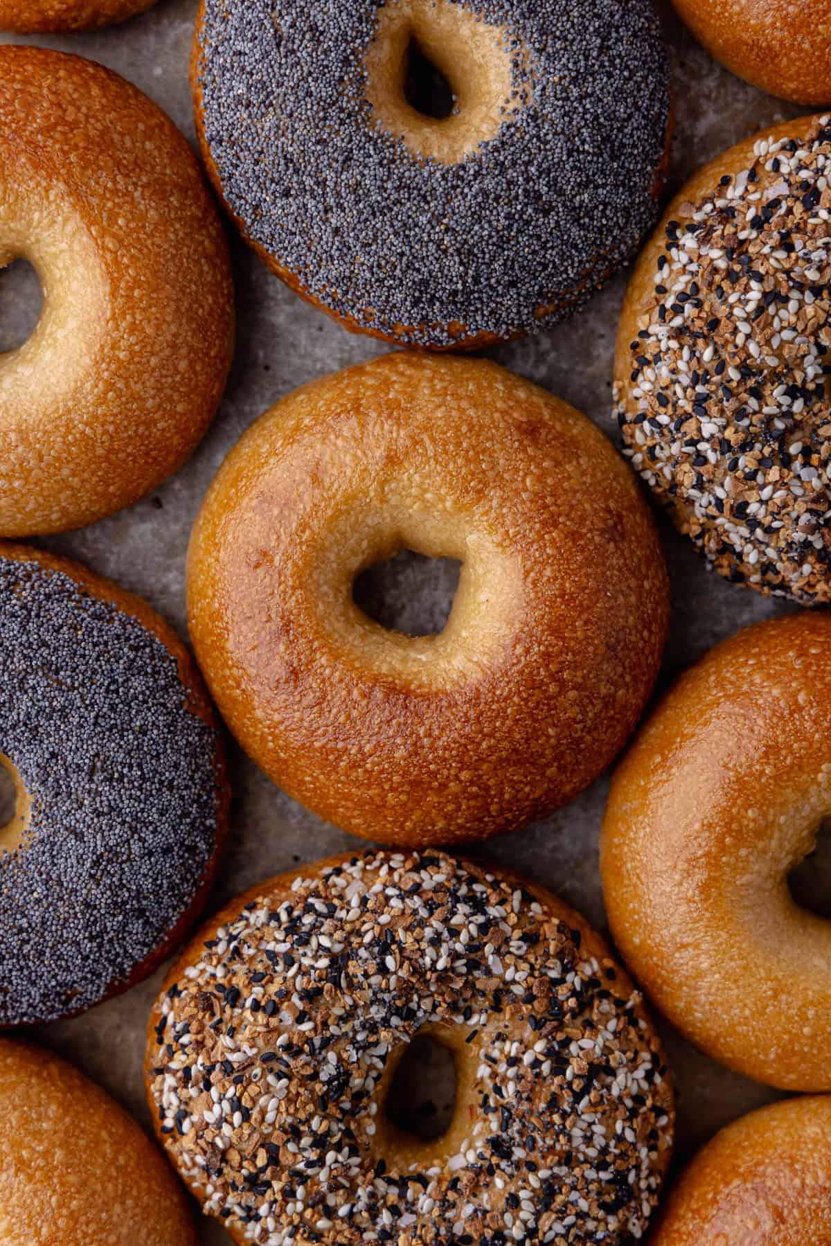 Overnight plain bagels, poppy seed bagels and everything seasoning bagels sitting on a baking sheet.