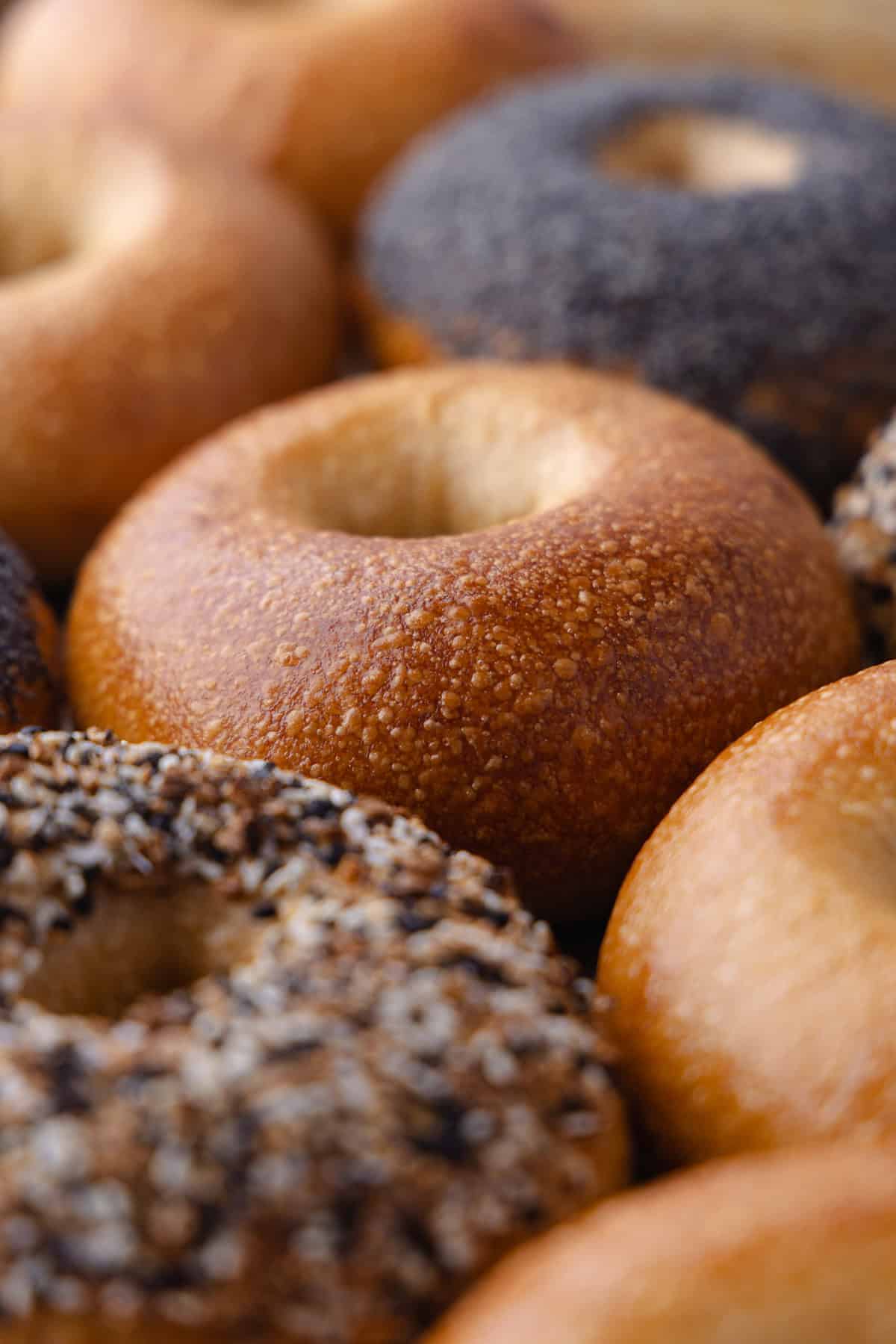 Close up of overnight bagels with blistered crust sitting on a baking sheet.