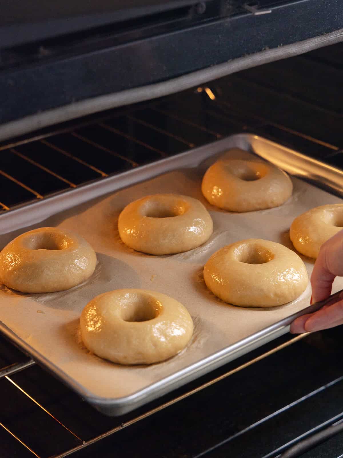 A tray of 6 bagels are placed into a hot oven.