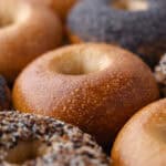 Overnight plain bagel with blistered crust sitting on a baking sheet, featured photo.