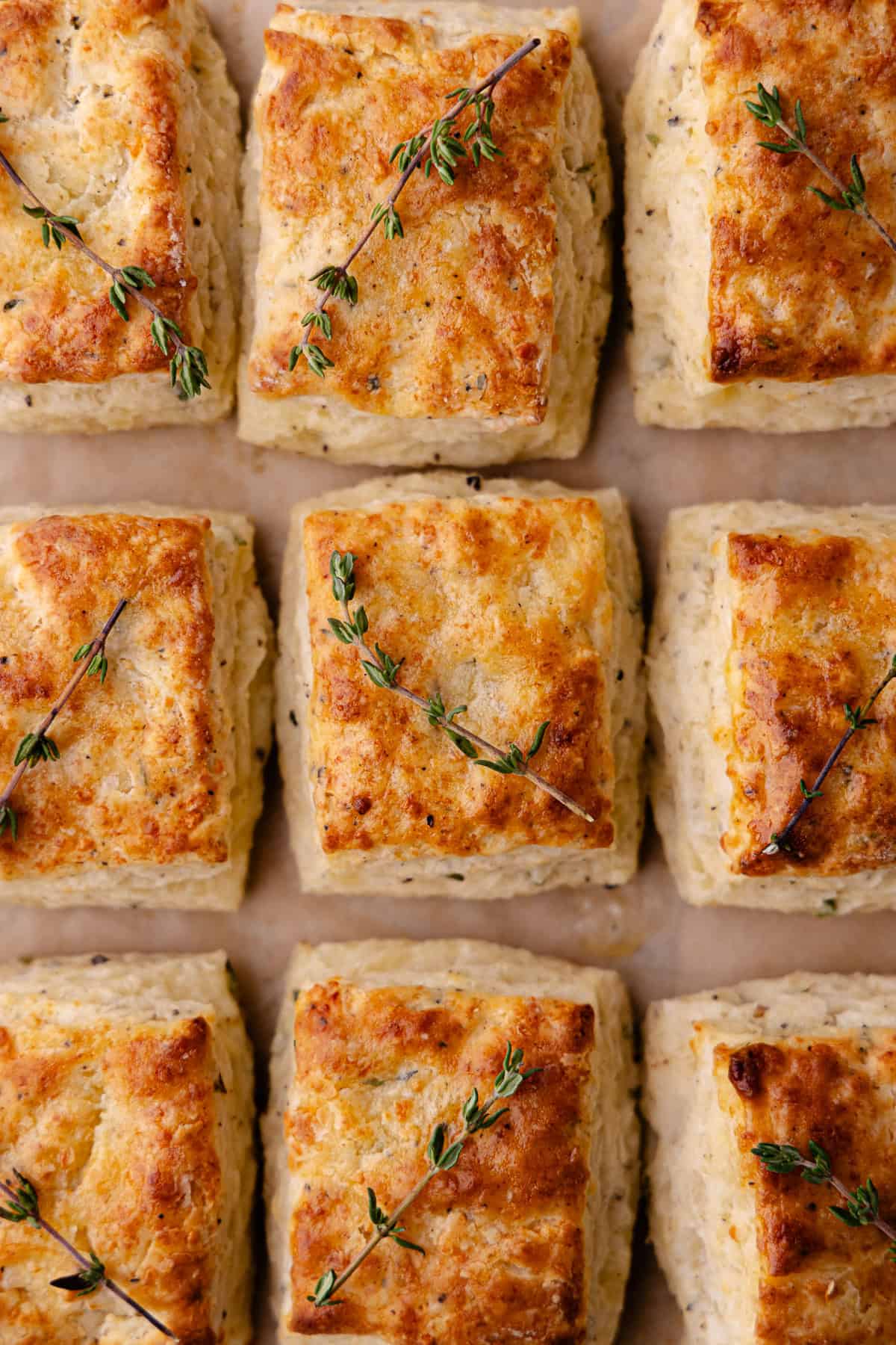 Tall and flaky Parmesan Black Pepper Thyme Biscuits sitting on a baking tray.