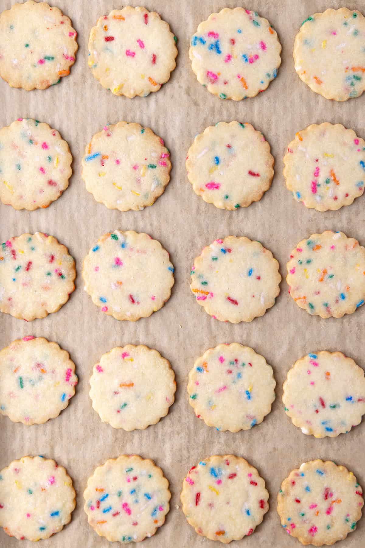 Funfetti shortbread cookies on a baking sheet.