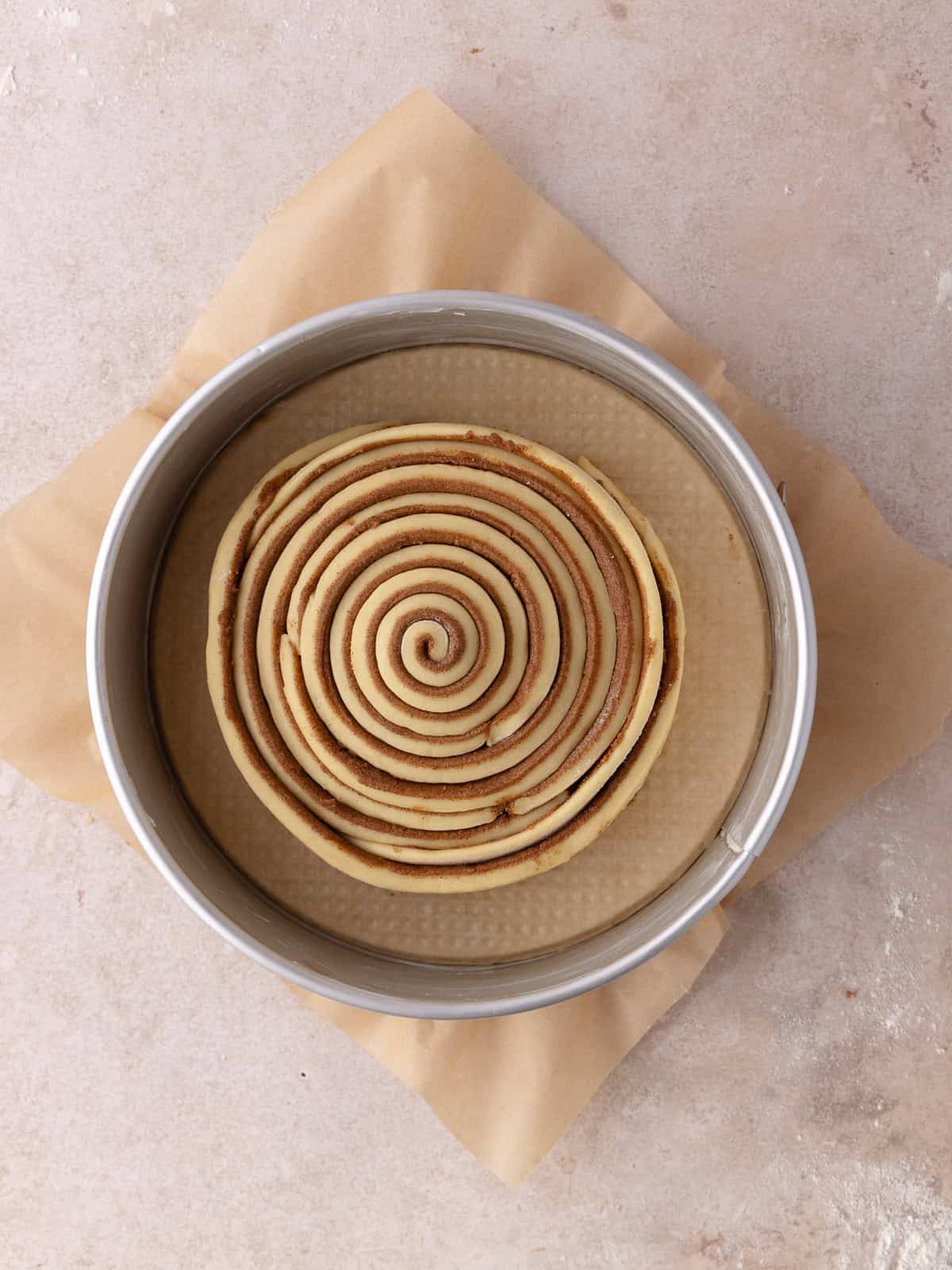 Giant cinnamon roll cake made with tangzhong milk bread brioche dough, sitting in a springform pan before proofing.