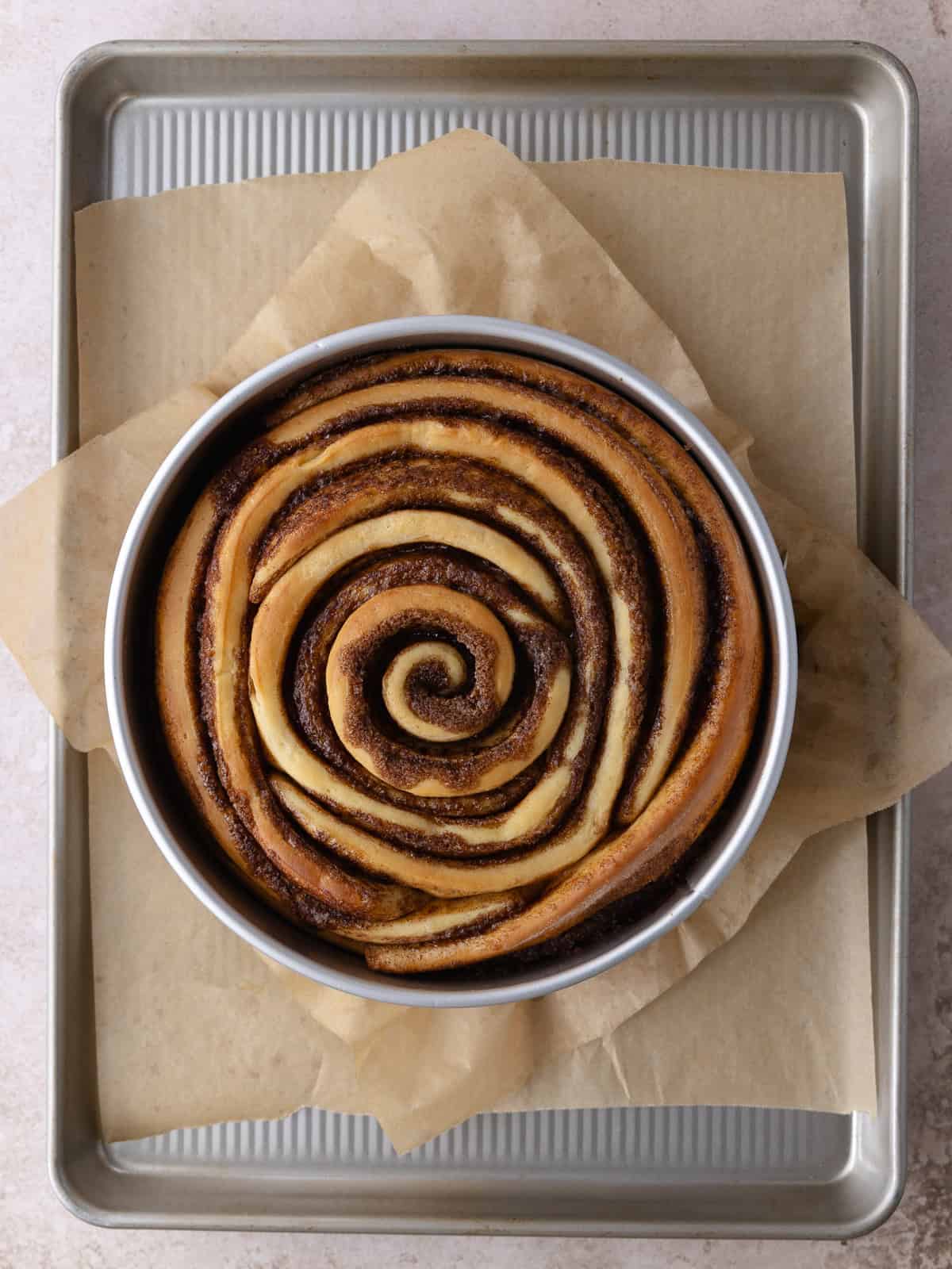 Baked giant cinnamon roll cake made with tangzhong milk bread baked in a springform pan.