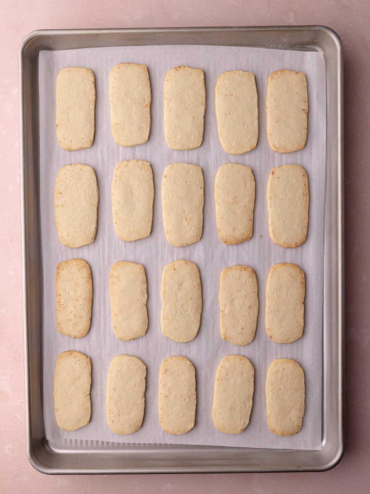 Slice and bake macadamia nut shortbread cookies are baked and sitting on a baking sheet to cool.