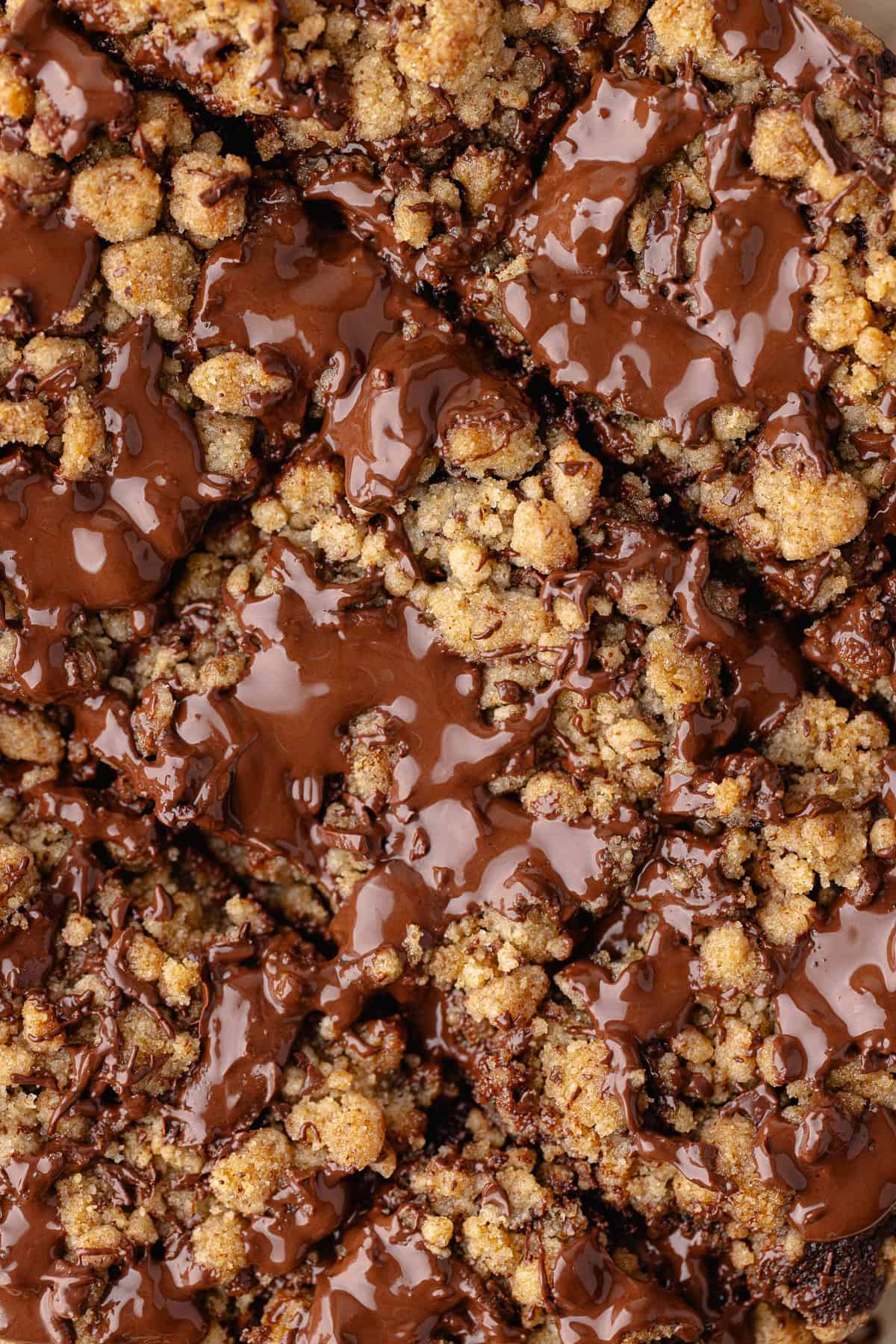 Close up chocolate coffee cake cut into squares.