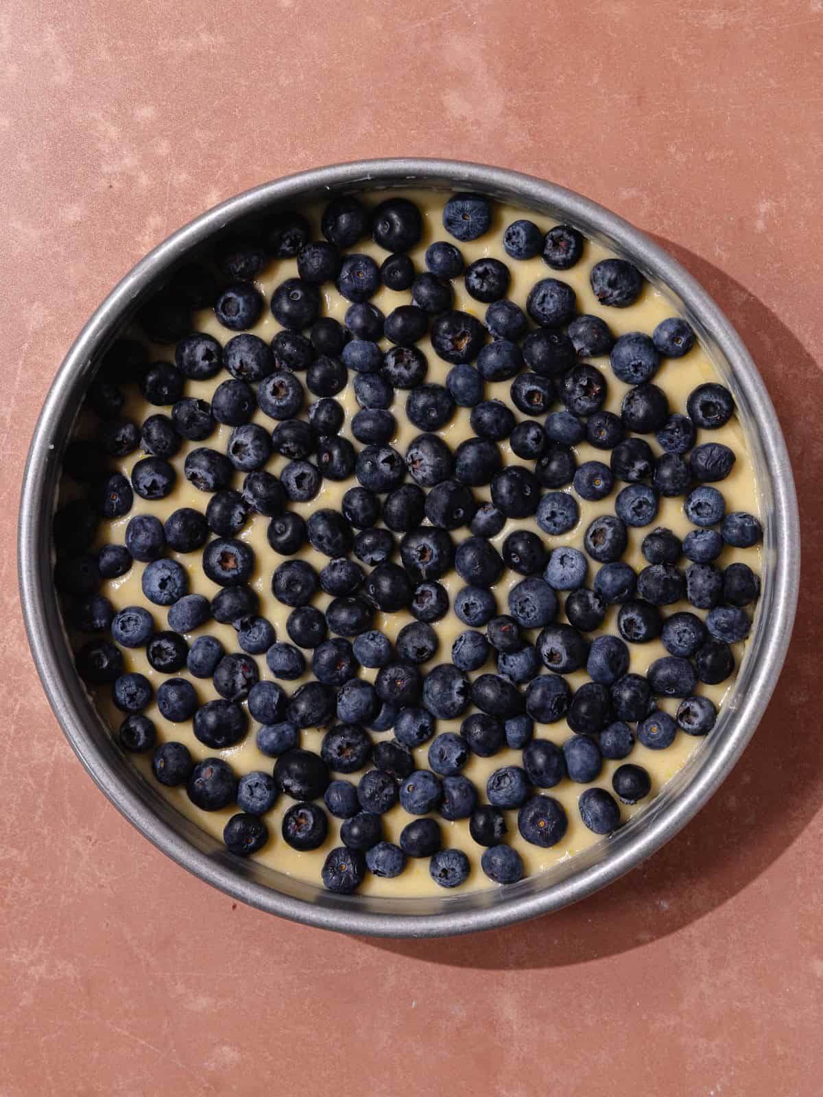 Blueberry lemon crumb cake topped with fresh blueberries.