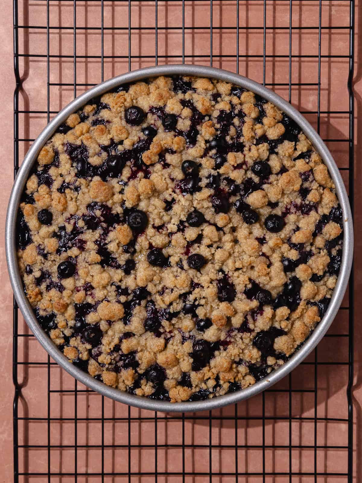 Blueberry lemon crumb cake is fully baked in a round 9 inch cake pan and sitting on a cooling rack.